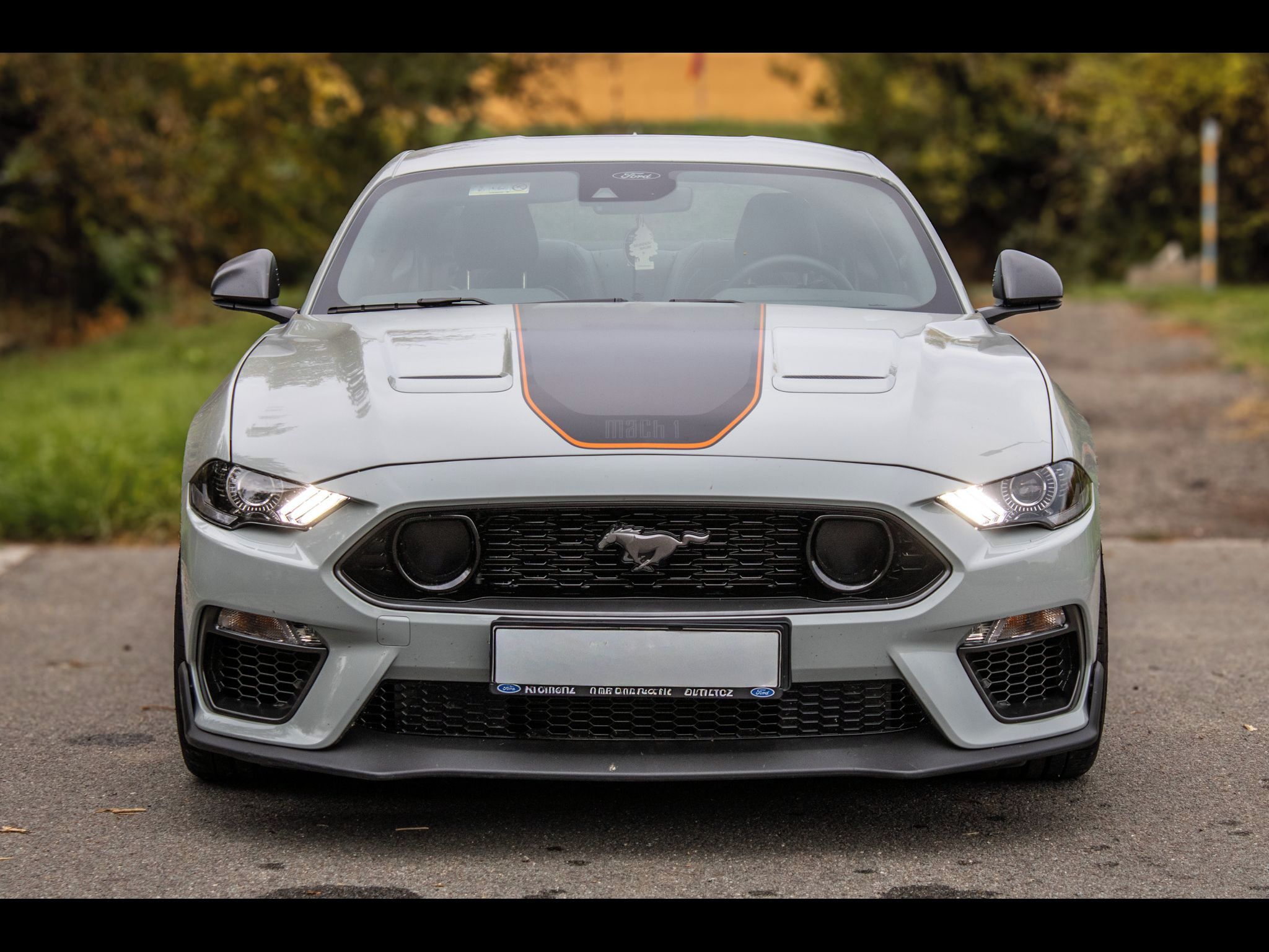 Ford Mustang - fotka 2