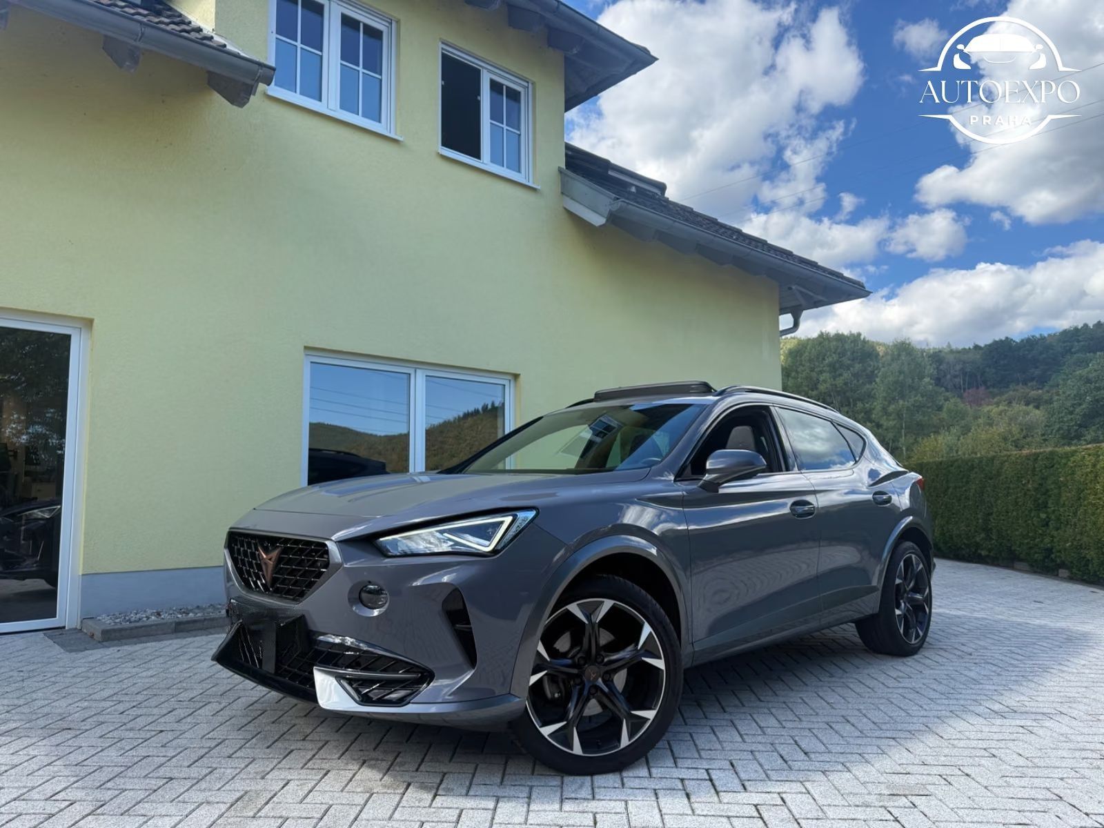 Cupra Formentor, 2.0 TDI 4Drive 110KW