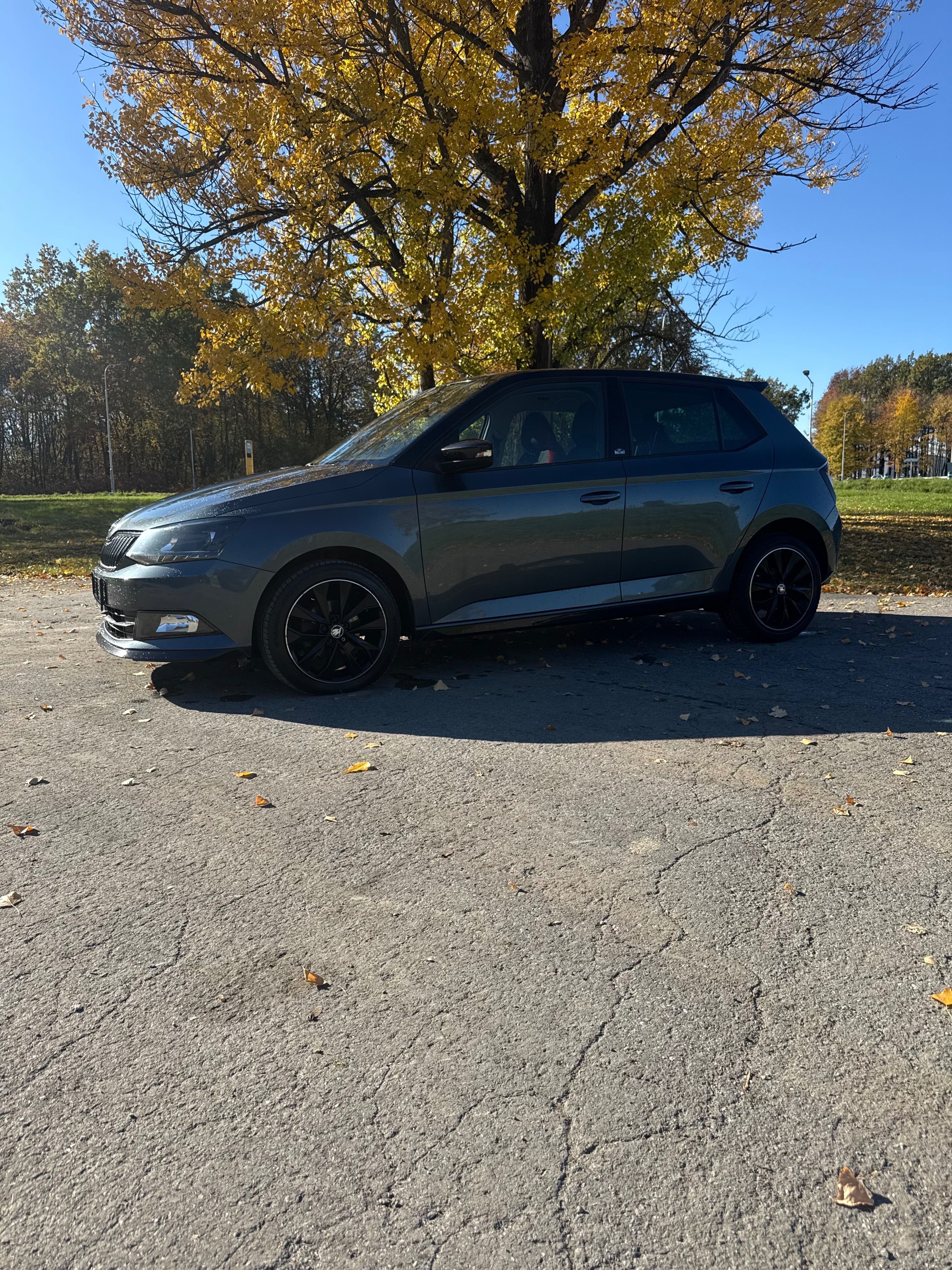 Škoda Fabia, 1.2 Tsi 66kw, Monte Carlo - fotka 5