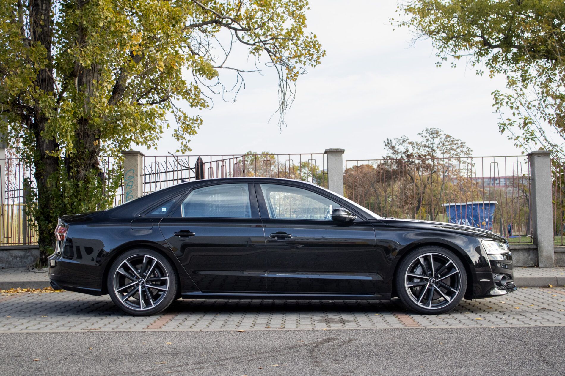 Audi S8 - fotka 5