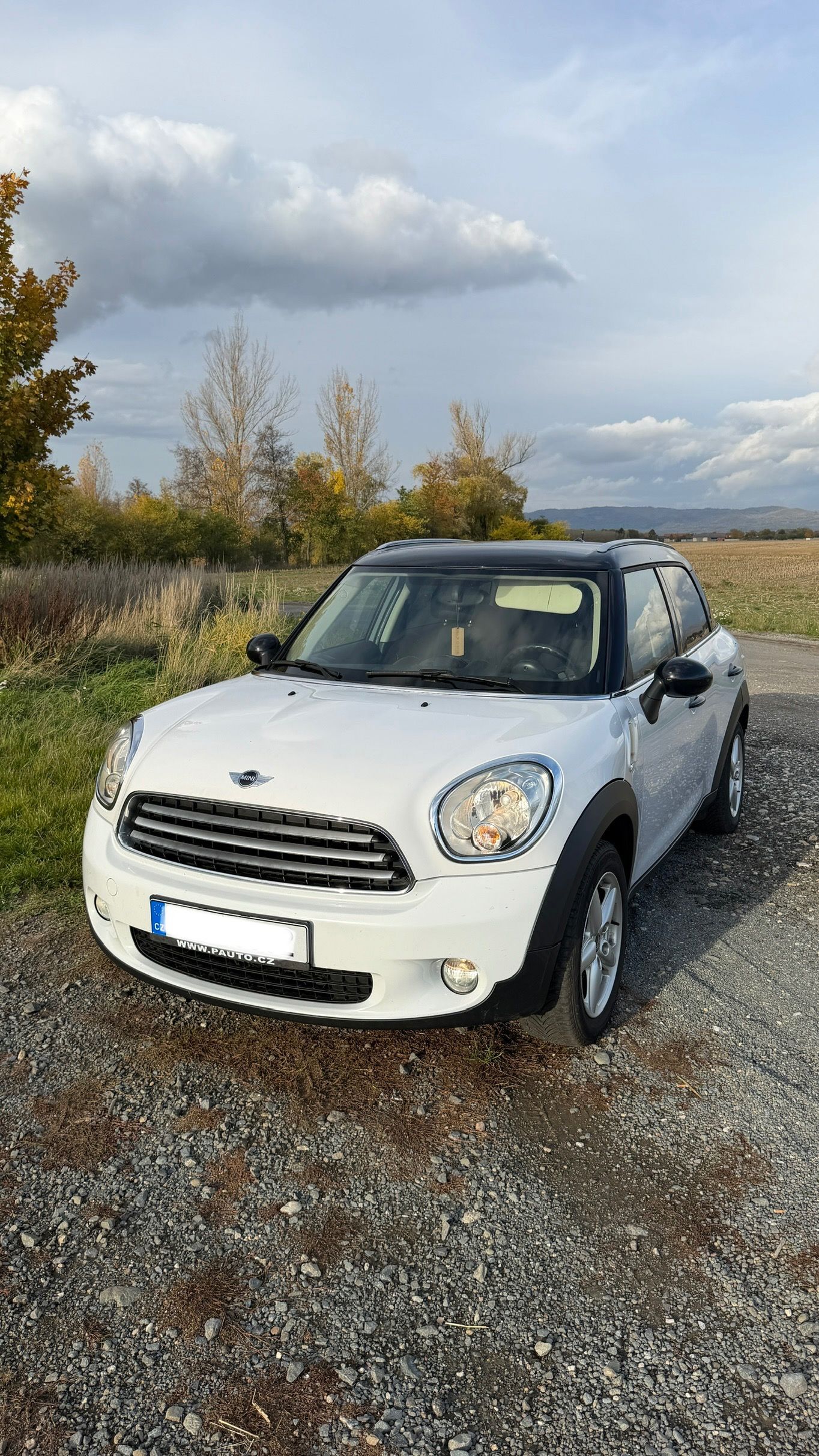 Mini Countryman, 2.0, 82kw, 2013